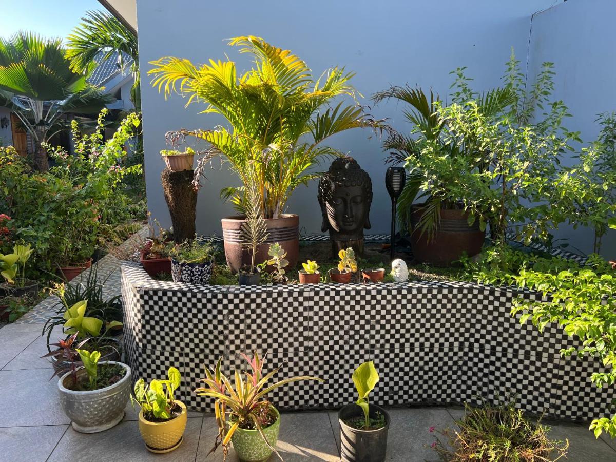 Pasifika Guesthouse นาดี ภายนอก รูปภาพ